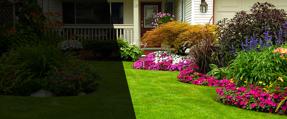 Palmetto Landscapers